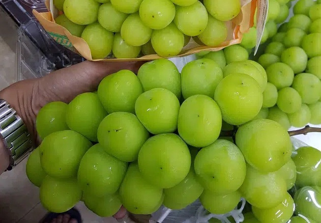 Nho mẫu đơn Nhật có giá bán đắt đỏ bởi chúng được trồng “1 nhánh 1 chùm” theo phương pháp hữu cơ. Ảnh: Facebook.