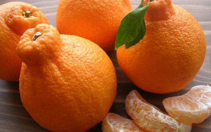 Tại Việt Nam, quýt chum Dekopon có giá lên tới 1,5 triệu đồng/kg. Ảnh: Internet