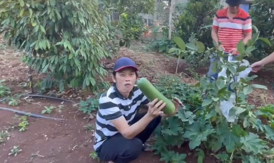 Nam danh hài tự tay cắt bí trong vườn.