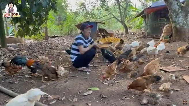 Ngoài cây cối, Hoài Linh còn nuôi cả một đàn gà, ngỗng. Nguồn ảnh chụp màn hình