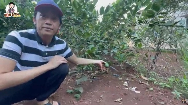 Nam danh hài trồng nhiều loại cây khác nhau như mận, thanh trà, chanh, tần ô, củ giềng, mít, bí, đậu...