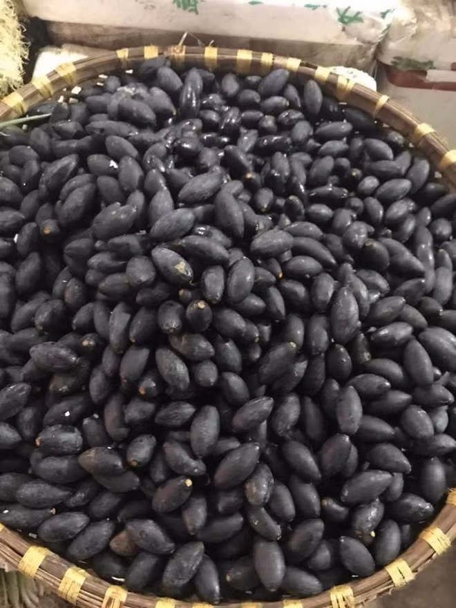 Nhiều năm về trước, tại một số vùng quê, quả trám rụng đầy gốc không ai nhặt. Thế nhưng, vài năm trở lại đây trám bỗng được ưa chuộng nên có thời điểm còn không có để mua.