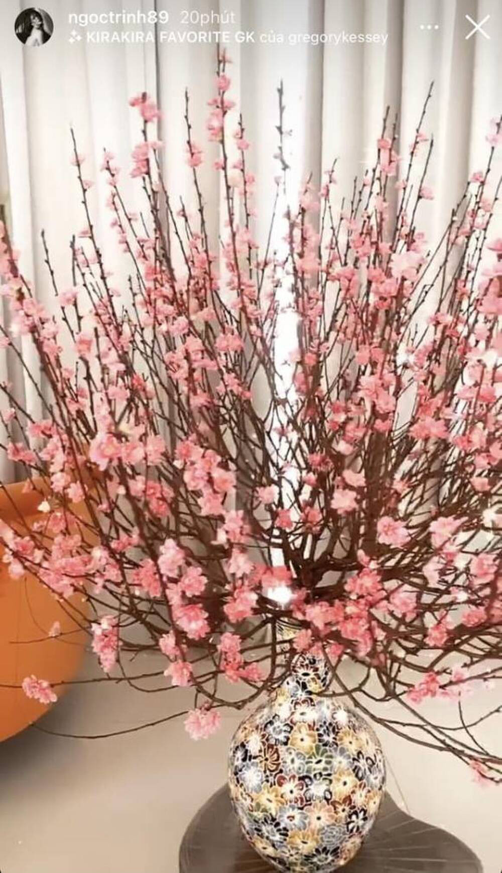 Trước đó, nữ hoàng nội y khoe cành đào nở chi chít hoa.