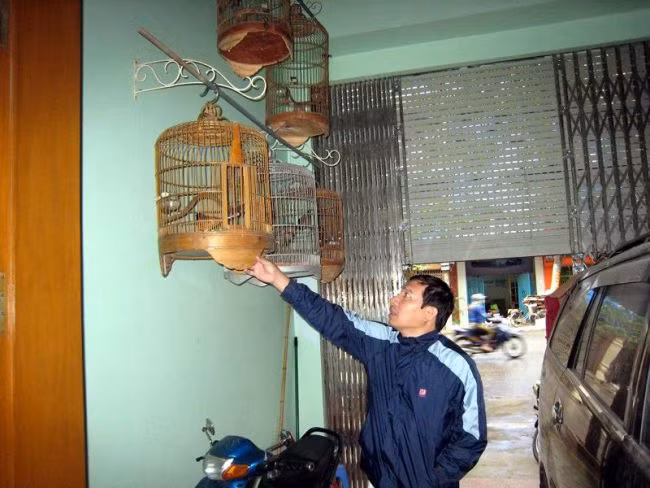 Trong căn nhà khang trang ở Hải Phòng, Quang Thắng treo rất nhiều lồng chim.