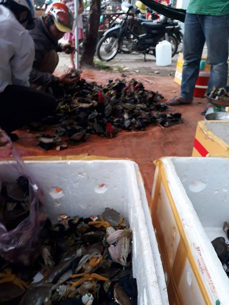 Thế nhưng, thực chất giá 50.000 đồng 3 con cua mà người bán rao chỉ là cách để họ thu hút người đi đường. Khi hỏi mua thì người bán chỉ vào những con cua nhỏ xíu. Ảnh: Plo