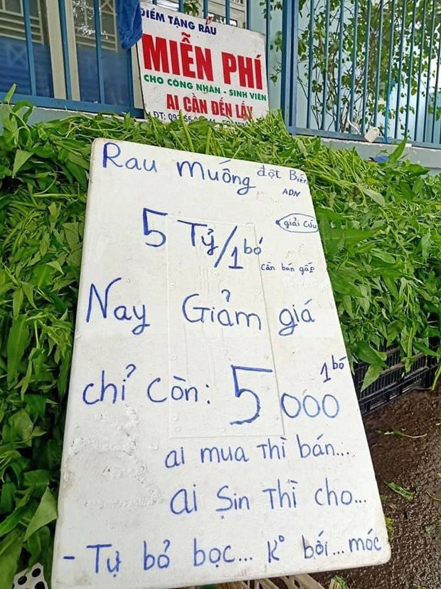 Rau muống "đột biến" 5 tỷ/bó, nay giảm còn 5 nghìn/bó, đặc biệt hơn... ai xin thì cho. Ảnh: Facebook