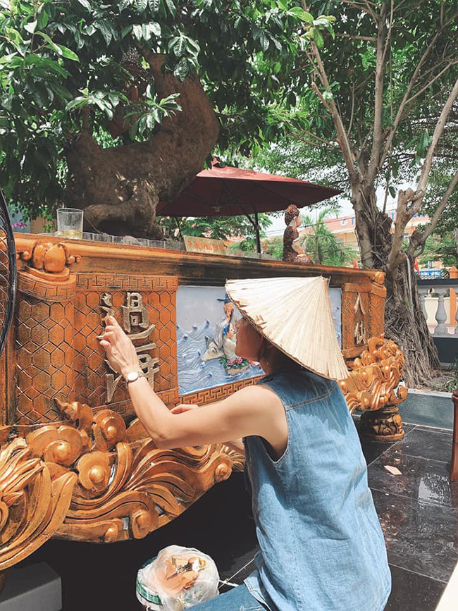 Mai vàng Yên Tử cổ thụ quý ở chỡ được khai thác khi sự sống chỉ còn 1% nhưng đã hồi phục thần kỳ sau khi được đưa xuống núi chăm sóc. Ảnh: Dân Việt