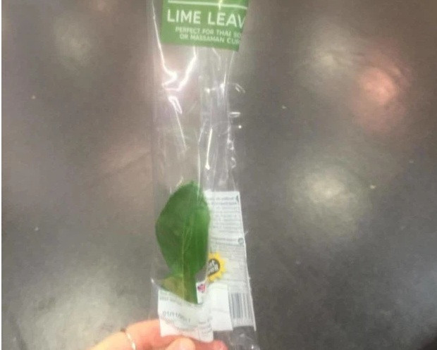 Và chỉ một chiếc lá chanh.