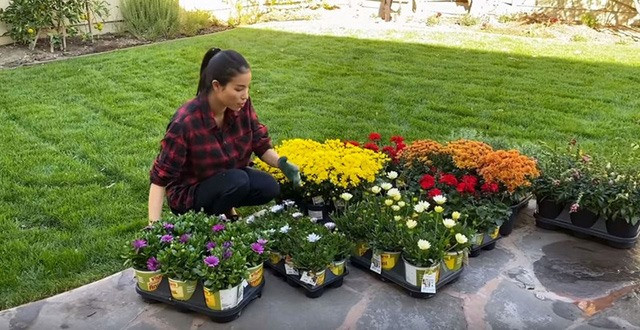  Hoa hậu Hoàn vũ Việt Nam 2015 còn trồng thêm rất nhiều loài hoa cho khu vườn thêm màu sắc rực rỡ. Ảnh: FBNV