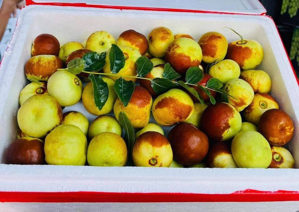 Đa số khách của cô Xuân đều lấy 1 thùng, thi thoảng có người đặt 2-3 thùng làm quà biếu.