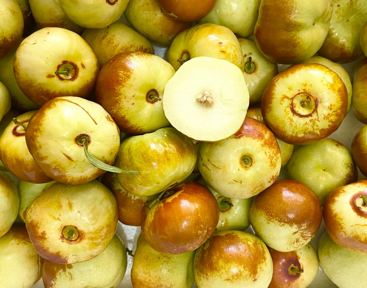 Hiện đang vào vụ thu hoạch hồng táo tươi nên khoảng 2 ngày hàng lại về một lần. Mỗi lần hàng về cũng chỉ đủ trả khách đã đặt trước.