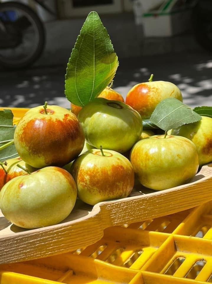 Vỏ táo mỏng mịn, thịt táo tan trong miệng như kem. Nguồn ảnh: Facebook