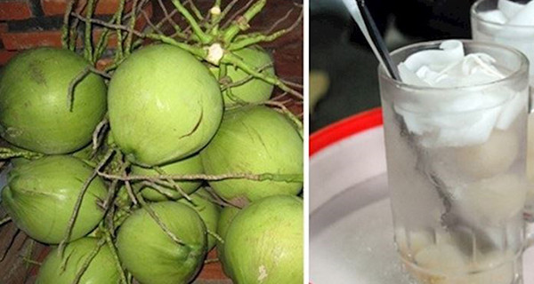 Lý giải về nước dừa giá rẻ, chị Thu (một người bán ở Hà Đông) cho biết, nước dừa nhà mình không phải dừa xiêm có vỏ xanh bán tại các cửa hàng, quán nước mà là dừa bánh tẻ.