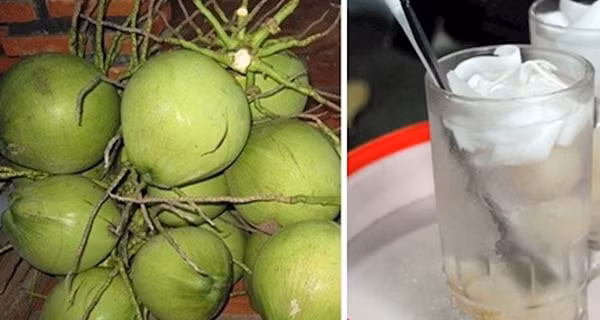 Lý giải về nước dừa giá rẻ, chị Thu (một người bán ở Hà Đông) cho biết, nước dừa nhà mình không phải dừa xiêm có vỏ xanh bán tại các cửa hàng, quán nước mà là dừa bánh tẻ.