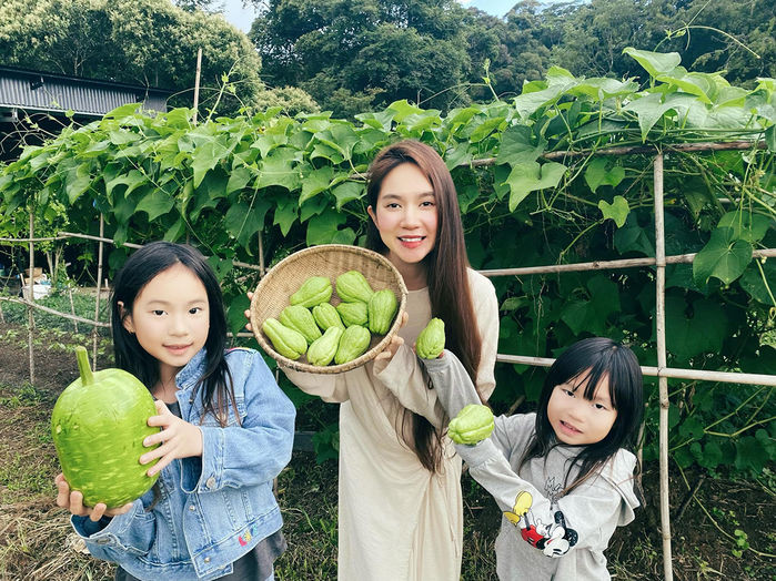 Bên cạnh khu vực nhà riêng là nơi sinh hoạt chính, trong khuôn viên nông trại của Lý Hải - Minh Hà còn có khu vực rộng hàng trăm m2 trồng các loại rau củ khác nhau. Ảnh: FBNV