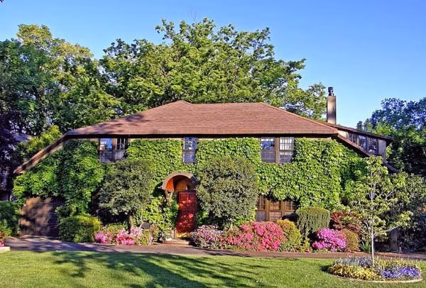 Ngoài ra, bạn cũng có thể trồng cây ở sân nhà, ban công. Đặc biệt là các loại cây leo, phủ kín tường, vừa đẹp vừa tránh ánh nắng chiếu vào nhà. Nguồn ảnh: Internet