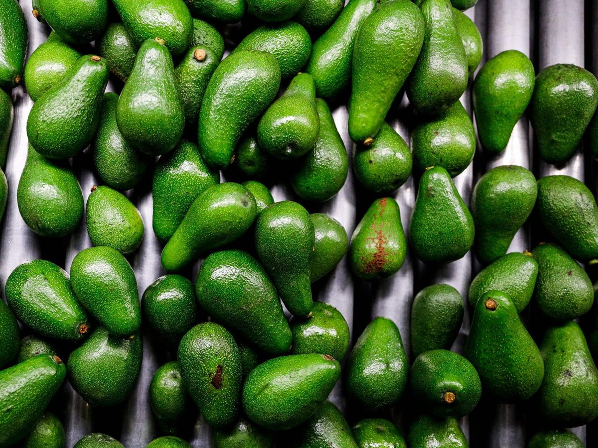 Bất ngờ loại quả “rẻ bèo” ở Việt Nam, sang nước ngoài là “vàng xanh“ Bat ngo loai qua “re beo” o Viet Nam, sang nuoc ngoai la “vang xanh“