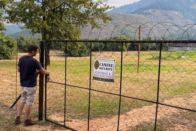 Theo WSJ, ông Mark Alcock - chủ một trang trại trồng bơ ở Tzaneen, phía đông bắc Nam Phi phải lắp camera hồng ngoại khắp trang trại bơ rộng 68 ha để đảm bảo an ninh. Khi kẻ xấu đột nhập, hệ thống camera sẽ gửi tín hiệu về điện thoại của Alcock. Ảnh: WSJ