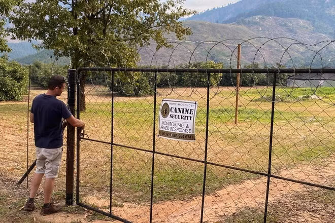 Theo WSJ, ông Mark Alcock - chủ một trang trại trồng bơ ở Tzaneen, phía đông bắc Nam Phi phải lắp camera hồng ngoại khắp trang trại bơ rộng 68 ha để đảm bảo an ninh. Khi kẻ xấu đột nhập, hệ thống camera sẽ gửi tín hiệu về điện thoại của Alcock. Ảnh: WSJ