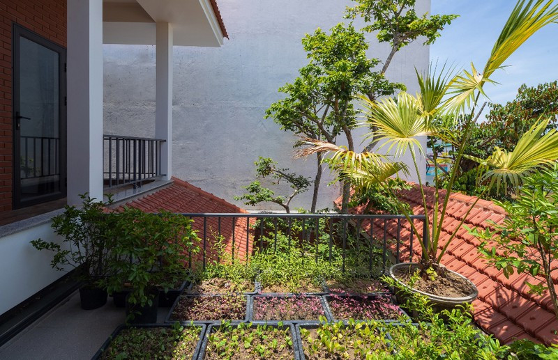 Ở tầng 2, kiến trúc sư bố trí nhiều khoảng trống lớn có thể trồng rau và một số loại cây cảnh khác.