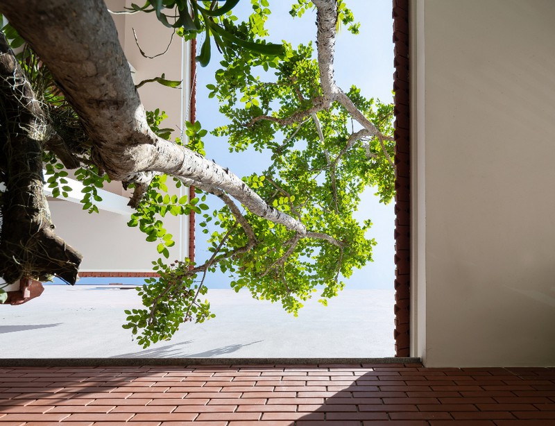 Một cây lớn phủ bóng được bố trí ở khoảng sân trước làm điểm nhấn chính tạo nên sự bình yên khi bước vào cổng nhà.