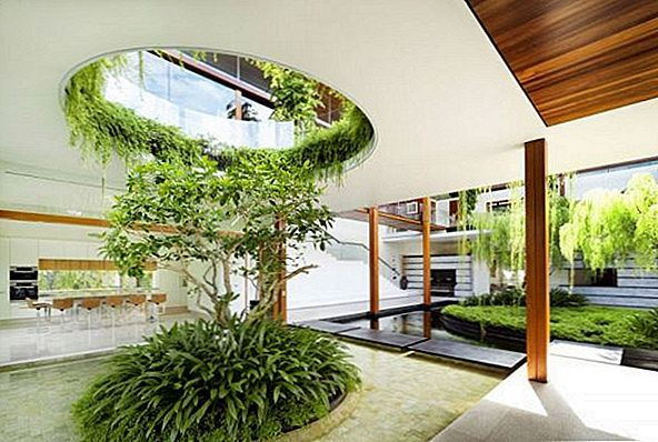 Tuy nhiên, nhiều gia đình gặp phải tình huống phần rễ cây phát triển quá tốt khiến gạch ốp bồn cây bị nứt vỡ, chân tường xung quanh vườn ẩm mốc, xuất hiện sâu bọ...