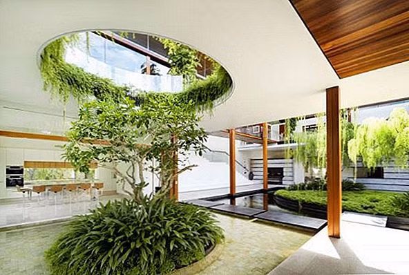 Tuy nhiên, nhiều gia đình gặp phải tình huống phần rễ cây phát triển quá tốt khiến gạch ốp bồn cây bị nứt vỡ, chân tường xung quanh vườn ẩm mốc, xuất hiện sâu bọ...