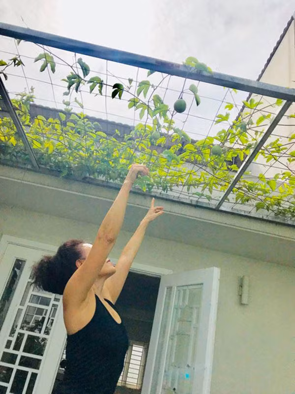 Một mình bà tự đảm nhận các công việc leo tròe, cắt tỉa cảnh, bón phân...