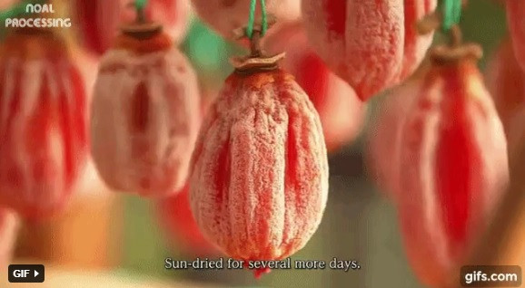 Khoảng 4 - 6 tuần, trái hồng sẽ khô héo và hình thành một lớp bột màu trắng trên bề mặt. Đây là đường tự nhiên hình thành bên ngoài, và cũng là một dấu hiệu cho thấy rằng Hoshigaki đã thành phẩm.