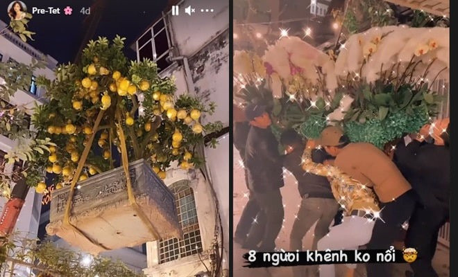 Thanh Tú còn mua thêm những loại cây sai quả để chơi Tết.