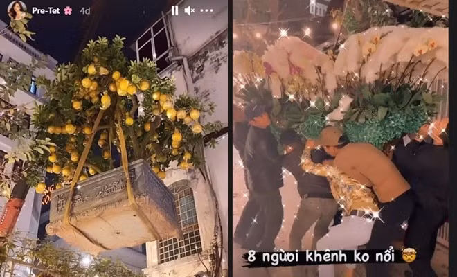 Thanh Tú còn mua thêm những loại cây sai quả để chơi Tết.