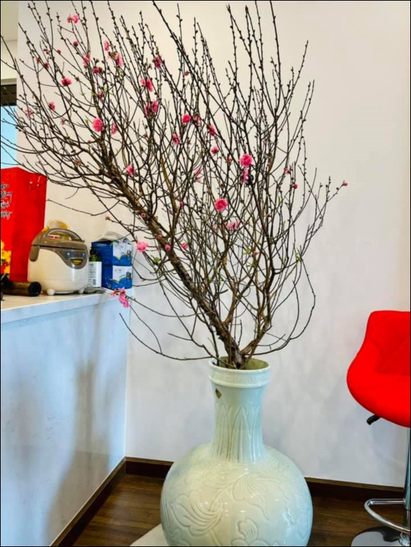 Năm nay, Bằng Kiều đón Tết ở Việt Nam. Anh được bạn bè tặng đào, quất trang trí.