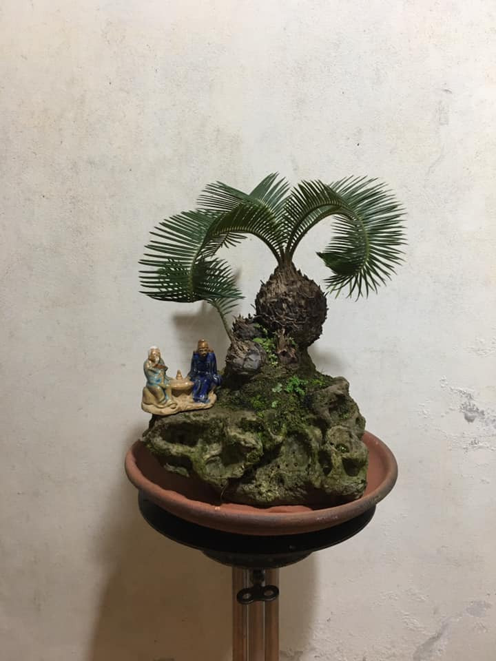 Khâu lựa chọn đá để trồng vạn tuế cũng rất cầu kỳ. Cây và đá phải hợp nhau mới tạo được một non bộ đẹp. Ảnh: Facebook.