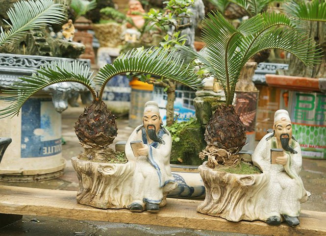 Với ý nghĩa mang lại sự bền vững và hưng thịnh, cây vạn tuế đang được nhiều khách hàng quan tâm. Ảnh: Tiền phong.