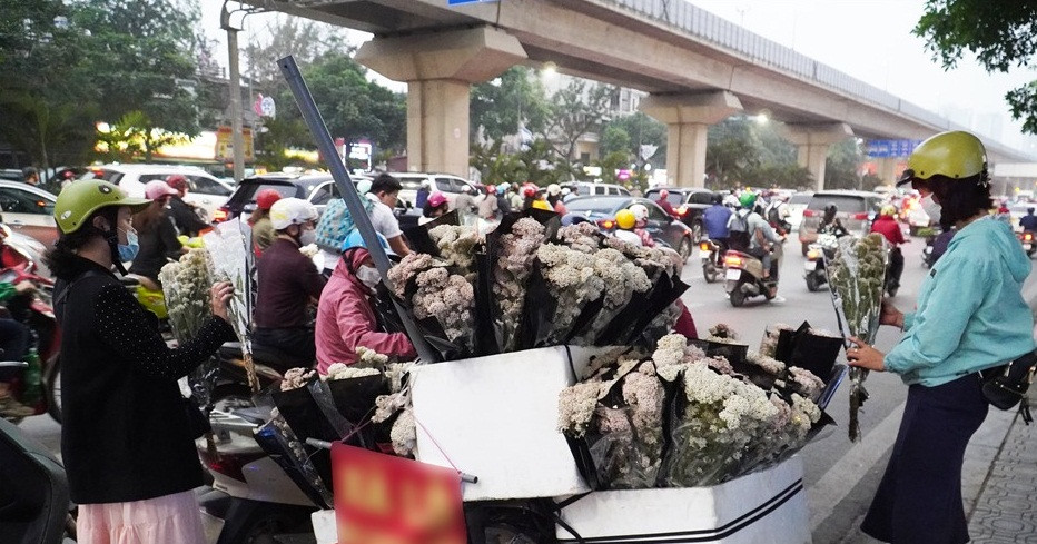 Chị Mai (một người bán hoa dạo ở Hà Đông, Hà Nội) cho biết, hoa baby gạo mới lạ nên khá hút khách. Mỗi ngày chị Mai bán được 20 - 25 bó hoa baby gạo. Ảnh: Lao động.