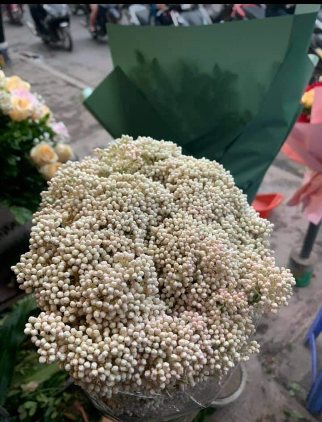 Theo người bán, hoa baby gạo được nhập về. Hiện, một số vùng ở trong nước đã trồng được nhưng chưa nhiều. Ảnh: Facebook.