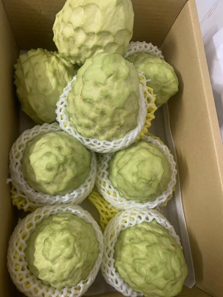 Na dai Đài Loan có trọng lượng khá lớn, dao động 700 - 900g/quả, đặt biệt có quả nặng tới 2kg. Ảnh: Facebook.