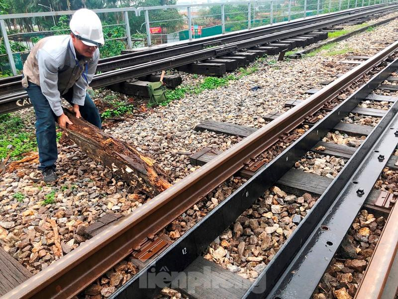 Thậm chí, nhiều thanh tà vẹt do mục ruỗng nhiều nên công nhân tuần đường ray đã phải kéo ra khỏi vị trí, bỏ đi để khỏi quấn vào chân (bánh) tàu.