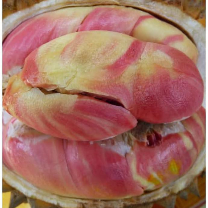 Phần thịt quả sầu riêng có nhiều màu sắc khác nhau, tùy thuộc vào từng cây, từ màu trắng, vàng nhạt, hồng, cam, đến đỏ.