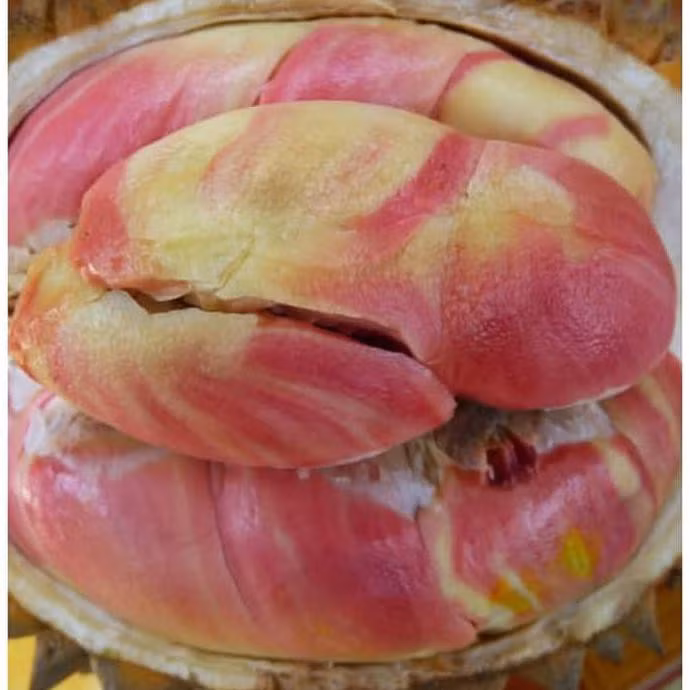 Phần thịt quả sầu riêng có nhiều màu sắc khác nhau, tùy thuộc vào từng cây, từ màu trắng, vàng nhạt, hồng, cam, đến đỏ.