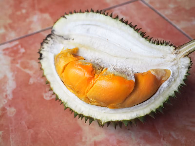 Năm 2015, một khách hàng tại Indonesia đã mua một quả sầu riêng cầu vồng với giá 150.000 IDR (khoảng 272.000 đồng)/quả dưới 1kg sau khi mặc cả từ 250.000 IDR (khoảng 384.000 đồng). Nguồn ảnh: Printest, Yearofthedurian