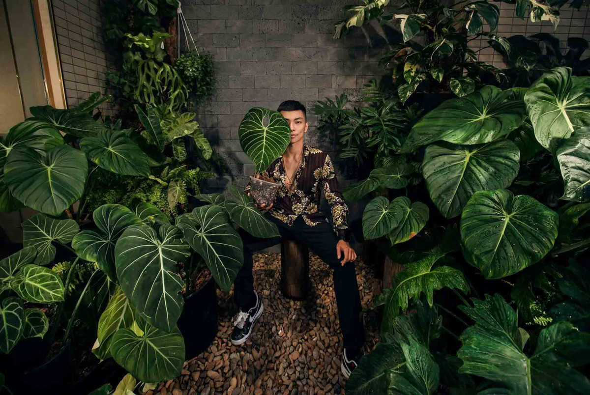 Trước đây, để chiều ý thích của bà xã, Phan Hiển nghiên cứu trồng một vườn hồng tại nhà. Sau đó, một số bạn bè khuyên anh nên trồng thêm kiểng lá. Ảnh: Thoidaiplus