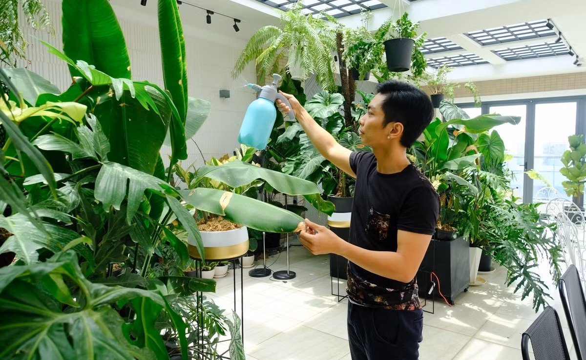 Mỗi ngày anh chỉ mất khoảng 30 phút để chăm vườn cây thay vì hoa hồng phải mất 3 tiếng. Ảnh: Ngoisao