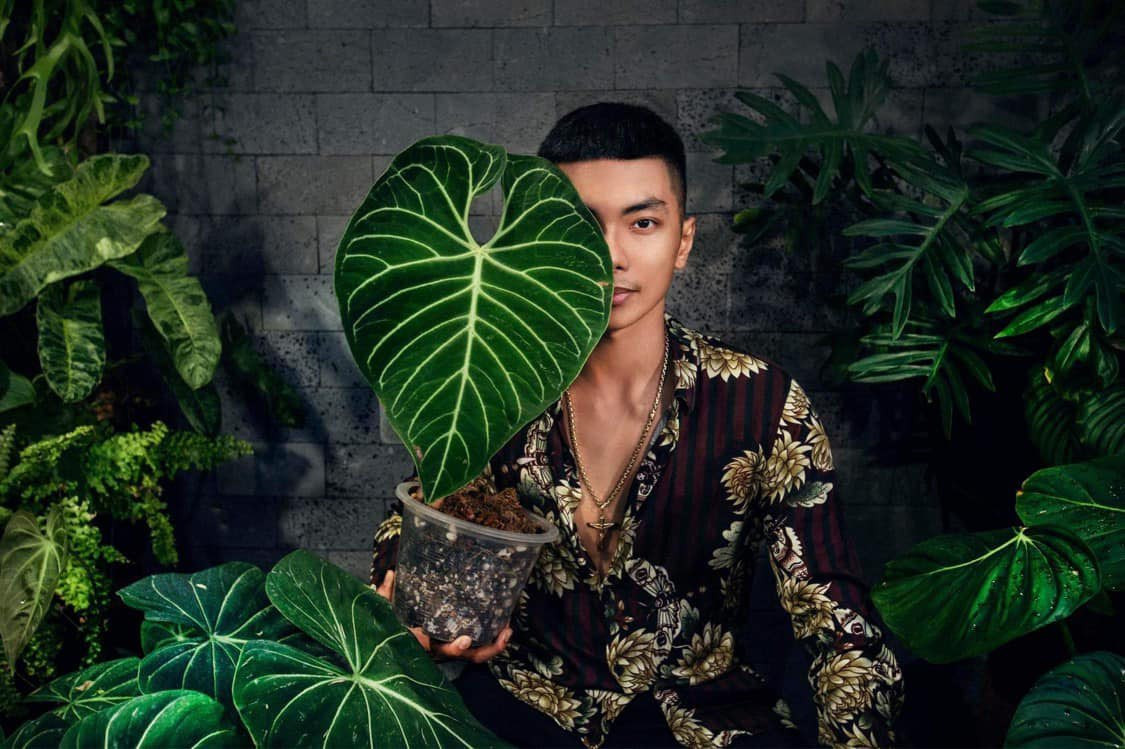 Nam vũ công cho biết, việc chăm sóc lúc đầu cũng hơi phức tạp. Nhưng sau một thời gian làm quen thì thấy chăm sóc kiểng lá dễ hơn chăm hoa hồng. Ảnh: Thoidaiplus