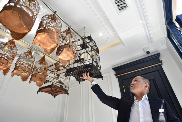 Tầng 9 của căn biệt thự là không gian dành cho những chú chim đột biến nhiều màu sắc. Ảnh: Vietnamnet