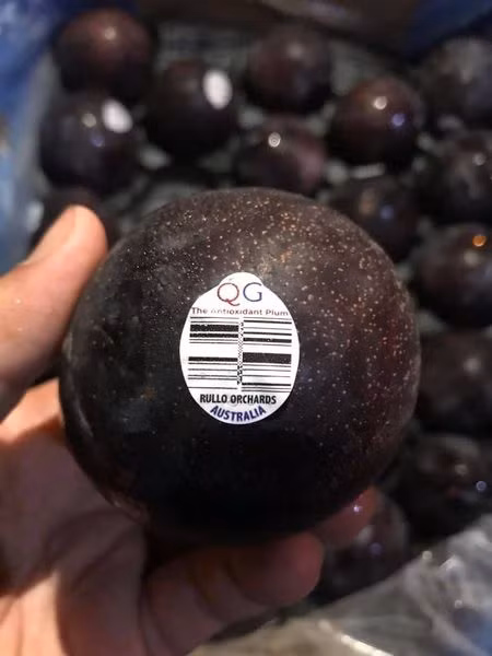 Năm nay, giá mận rẻ hơn nên ngoài mua về ăn, nhiều người còn đóng thành hộp mang đi biếu tặng. Ảnh: Facebook.