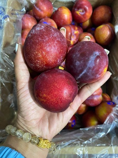 Mận Úc có giá dao động trong khoảng 105.000 - 185.000 đồng/kg, tùy kích cỡ to, nhỏ. Mức giá này thấp hơn so với mận hậu Sơn La đầu mùa đang bán trên thị trường từ 180.000 - 250.000 đồng/kg. Ảnh: Facebook.