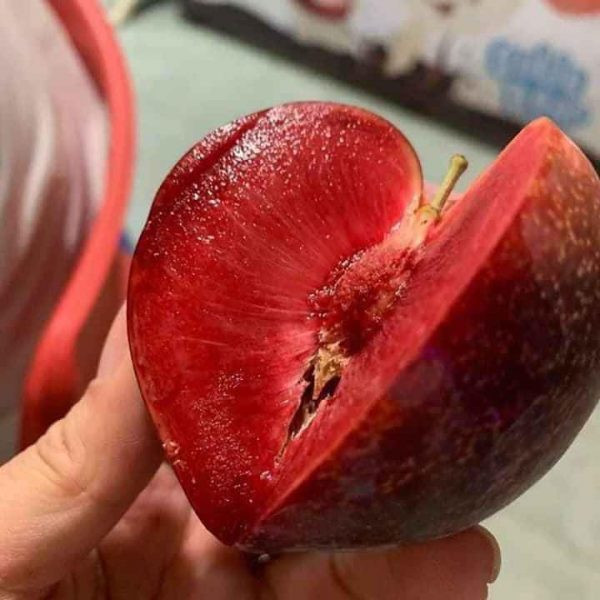 Nếu vẫn đắt khách như thời gian qua thì, cô Thanh dự tính, lượng mận Úc cửa hàng cô bán ra năm nay sẽ tăng hơn năm ngoái. Ảnh: Hoaquauudam