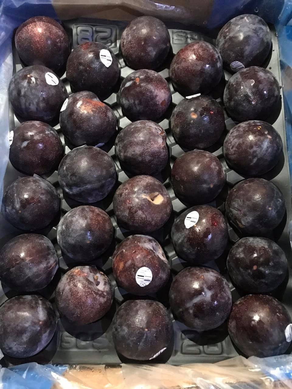 So với mận Việt, mận Úc to gấp 2 - 3 lần, khoảng 6 - 10 quả sẽ đạt 1 kg. Ảnh: Facebook.
