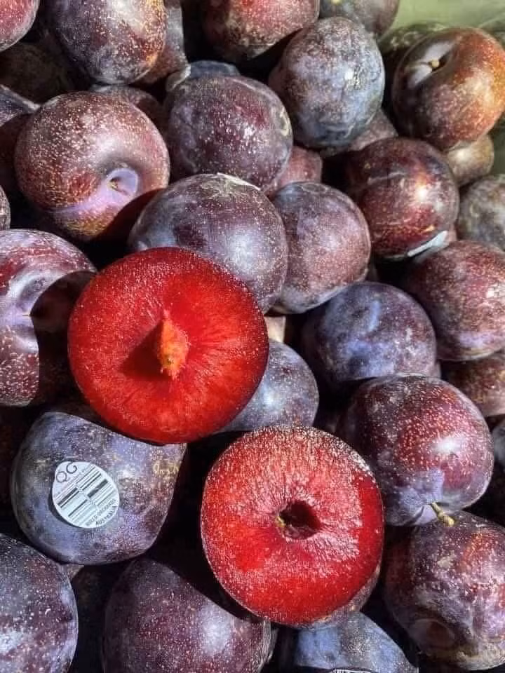Mận khủng long chín có màu đỏ au đẹp mắt, thịt dày, ăn có vị ngọt thanh. Ảnh: Facebook.